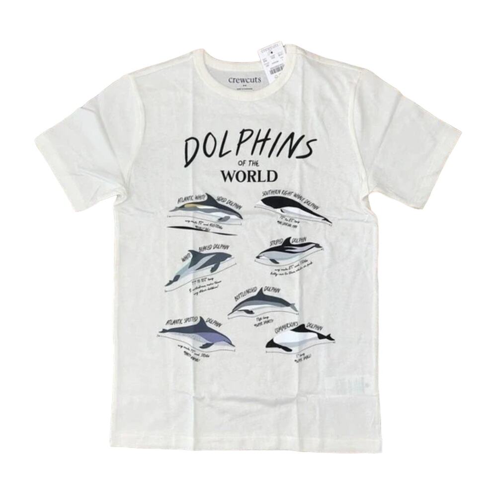 NWT J. Crew Boys' Ivory W/Dolphin Graphic Crewneck Tee